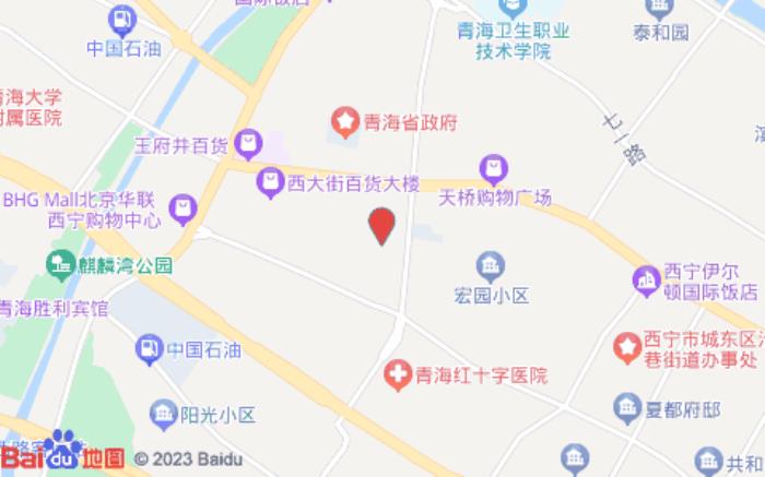 iu酒店(西宁大十字水井巷店)位置图