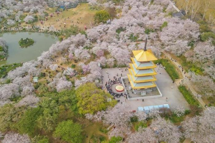 董宇辉去武汉都去了哪些地方