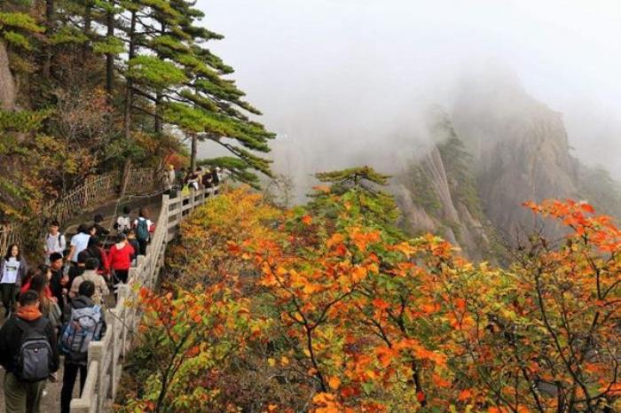 黄山赏秋自由行路线攻略