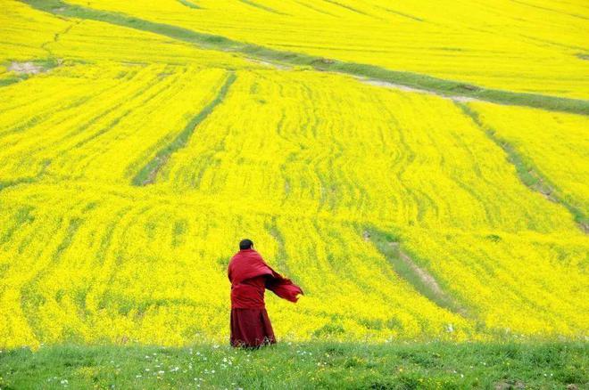 遇见甘南草原、黄河湿地、安多藏族风情