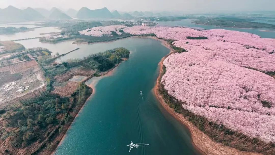 国内花海顶流，火了四年，免收门票，浪漫不会迟到！