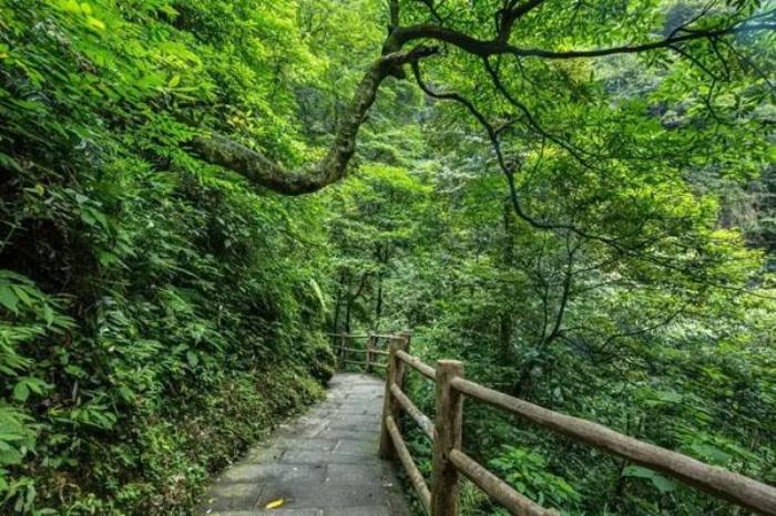 峨眉山有哪些景点 必去的几个景点