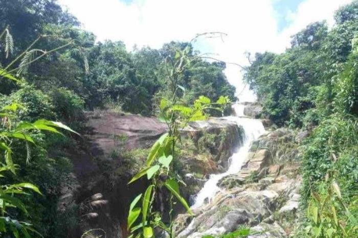 东兴屏峰雨林公园怎么去 具体位置在哪里