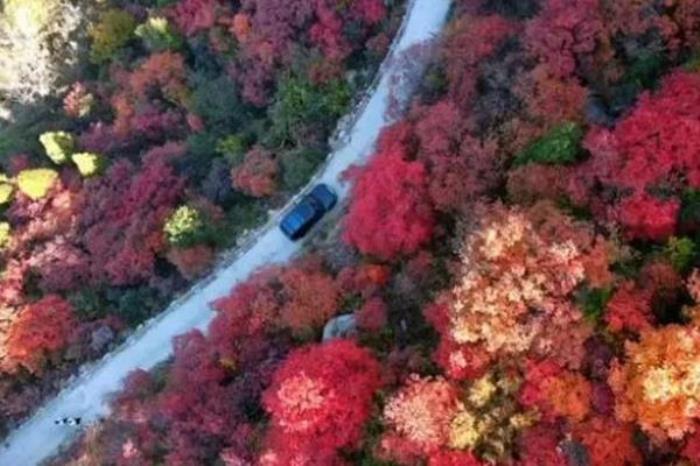 济南劈山赏红叶路线推荐