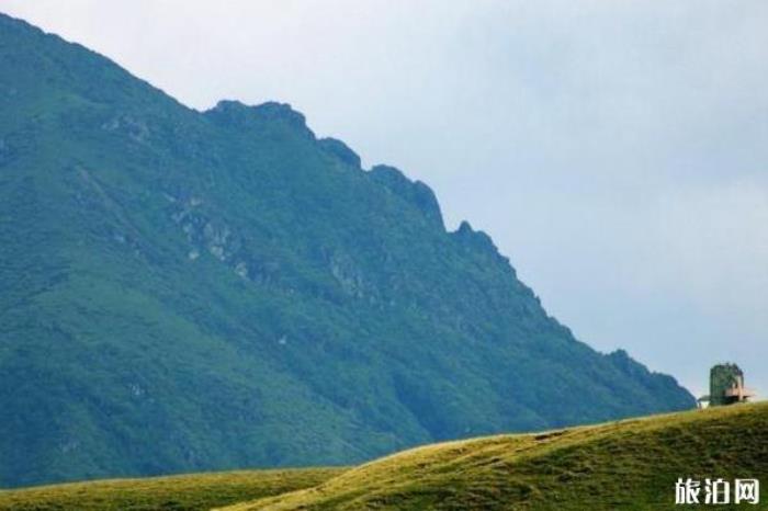 曲靖会泽大海草山