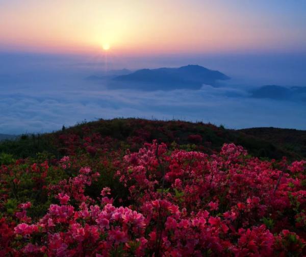 江西圣井山景区