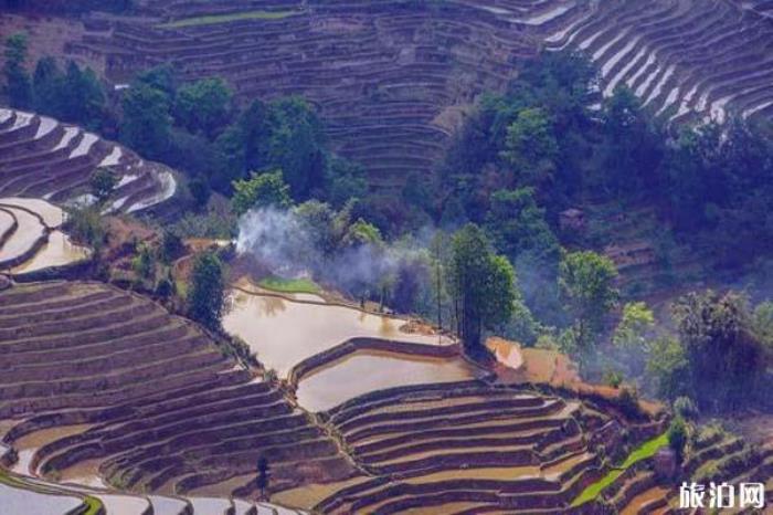 元阳哈尼梯田景区