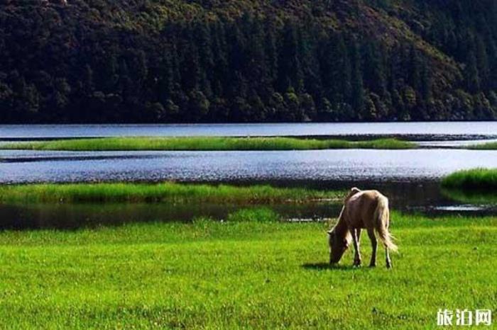 属都湖