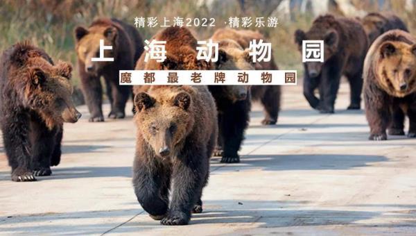 2022《精彩上海》旅游联票