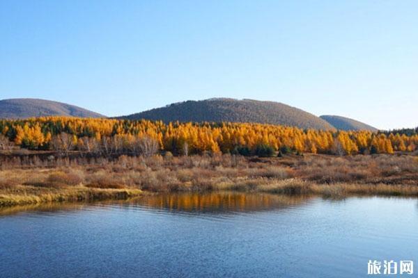 黄岗梁国家森林旅游区