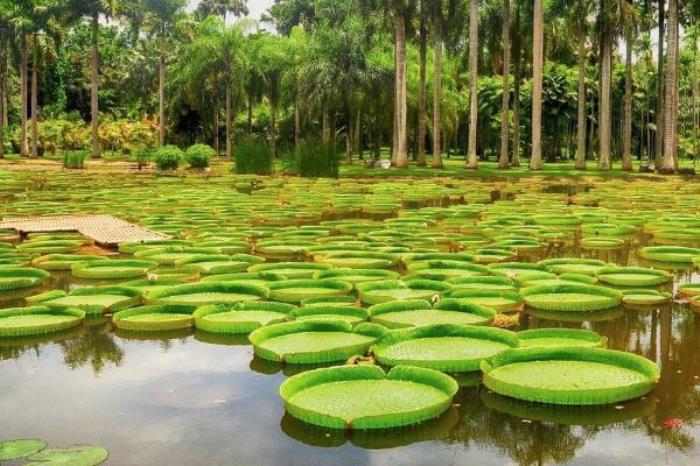 中国科学院西双版纳热带植物园