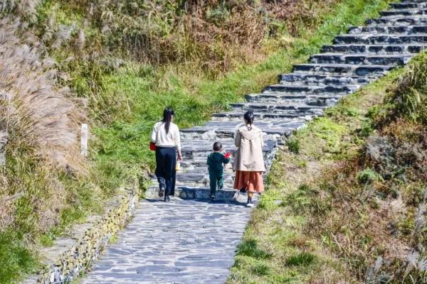 太阳坪映山红景区