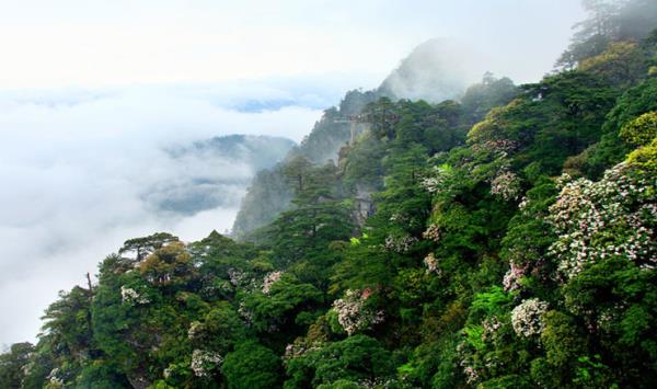 井冈山风景区