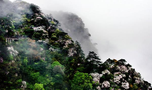 井冈山风景区