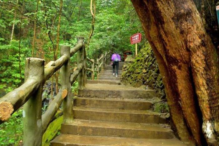 融水双龙沟原始森林景区