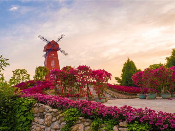 英山四季花海景区