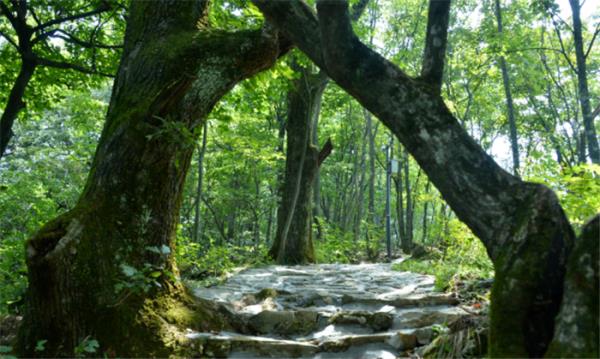 襄阳横冲旅游景区