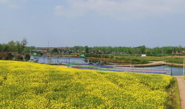 紫海田园