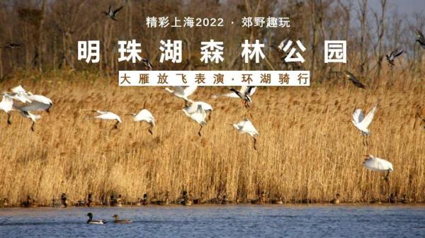 2022《精彩上海》旅游联票