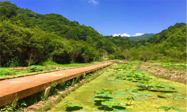 中国秦岭悠然山高山湿地景区