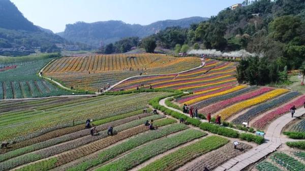 清溪谷旅游区花田酒地景区