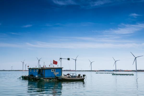 桑沟湾海洋牧场