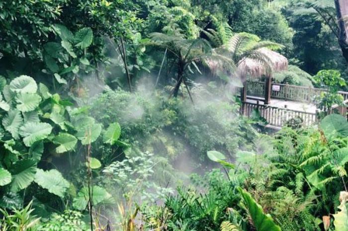 永顺植物园