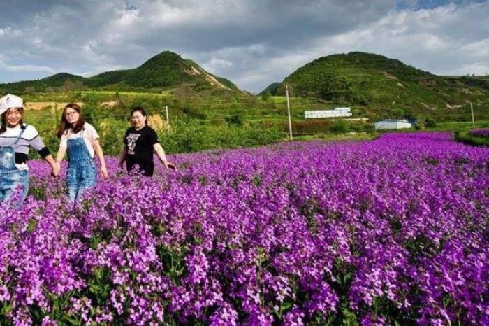 上关花景区