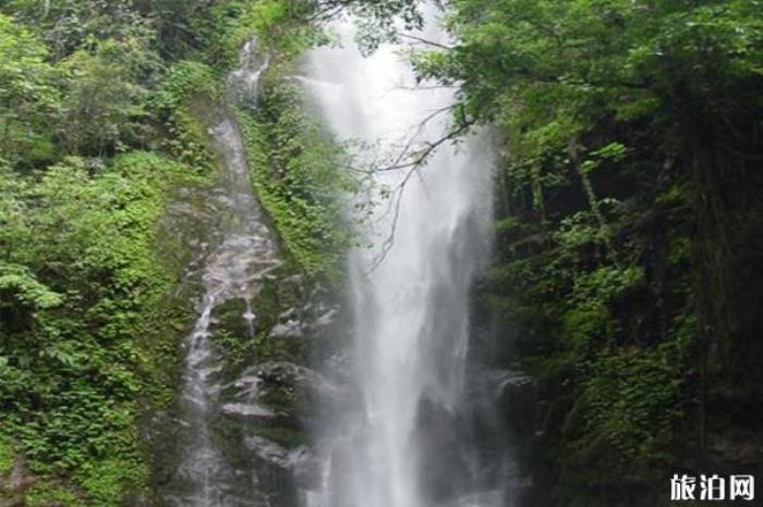 云南瑞丽莫里热带雨林风景区